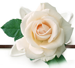 Белая роза, банкетный зал