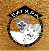 Багира, Омский городской клуб любителей кошек