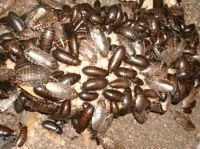 1298229941_168849586_2----